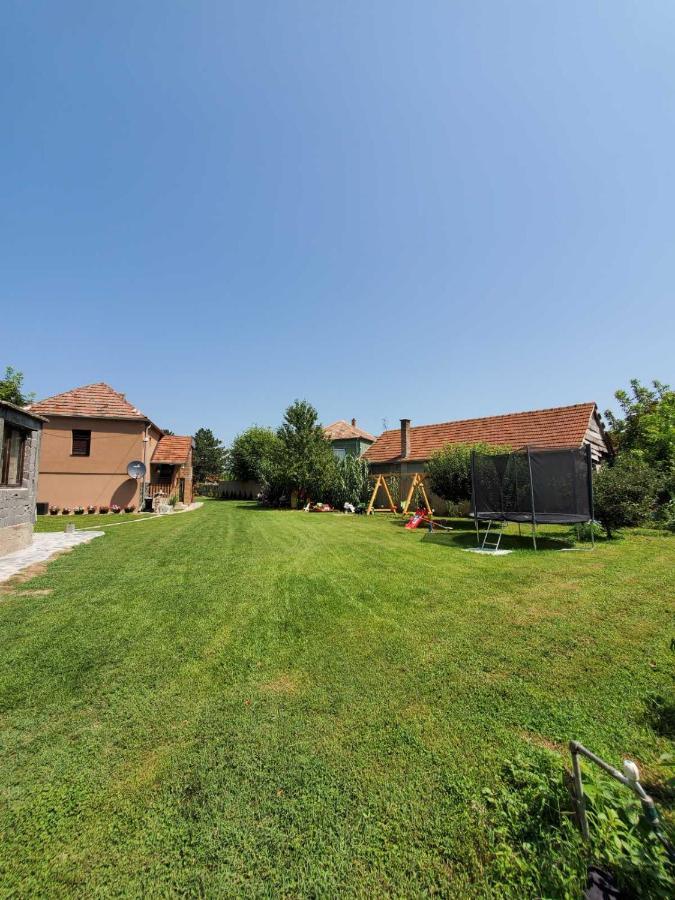 Dvor Villa Donja Toponica Exterior foto