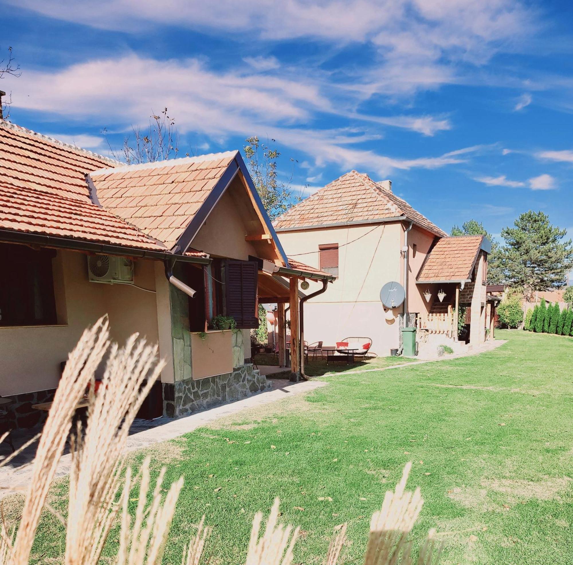 Dvor Villa Donja Toponica Exterior foto